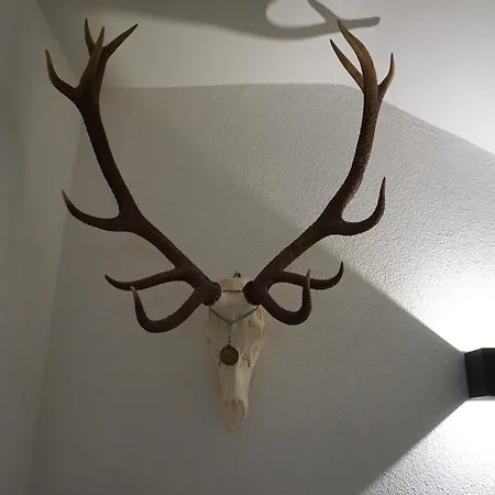 Alpenkoenigin - Alpine Luxury 4*