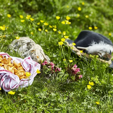 Alpenkoenigin - Alpine Luxury 4*